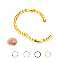 BodyBonita Hinged Nose Rings Hoops 316L Surgical Steel Seamless Nose Piercing Jewelry 20G/18G/16G/14G Septum Clicker Lip Ring...