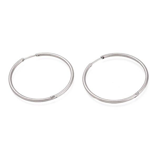Non-Tarnish 304 Stainless Steel Huggie Hoop Earrings