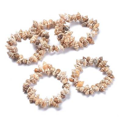 Unisex Natural Spiral Shell Stretch Bracelets