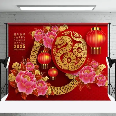 Aperturee Vibrant Snake Year 2025 Chinese New Year Backdrop For Party - Aperturee