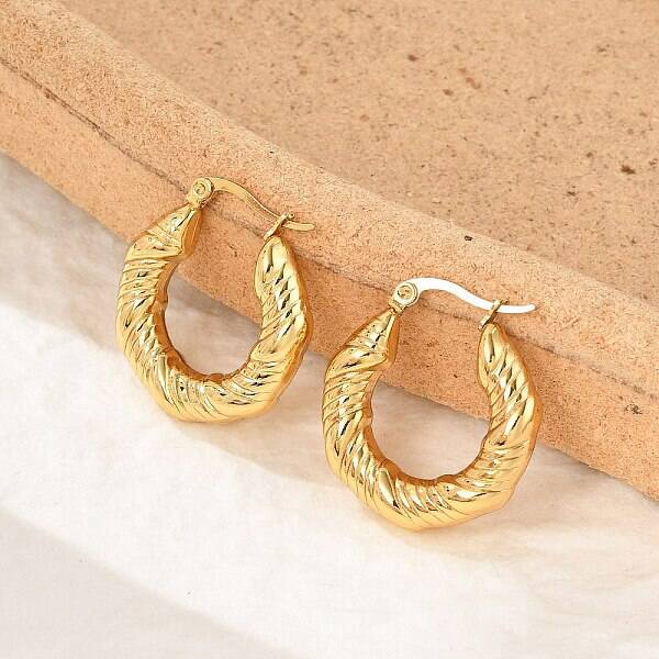 304 Stainless Steel Twist Hoop Earrings