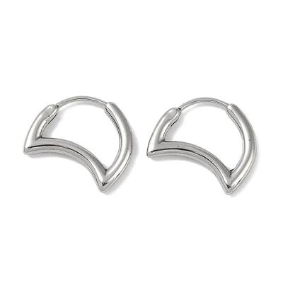Non-Tarnish 316 Surgical Stainless Steel Hoop Earrings for Women