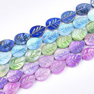 Freshwater Shell Beads Strands
