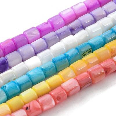 Natural Freshwater Shell Beads Strands