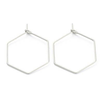 Non-Tarnish 316 Surgical Stainless Steel Earring Hoop