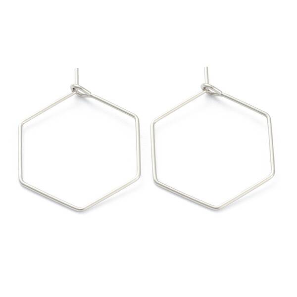 Non-Tarnish 316 Surgical Stainless Steel Earring Hoop