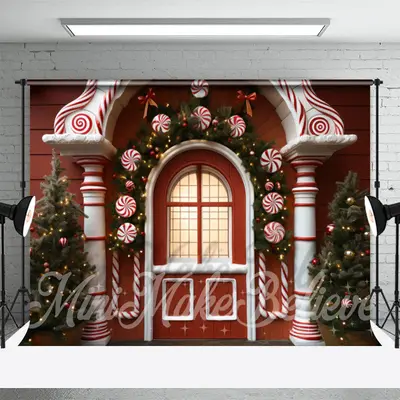 Arched Door Tree Photography Christmas Backdrop - Aperturee