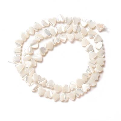 Natural Trochid Shell/Trochus Shell Beads