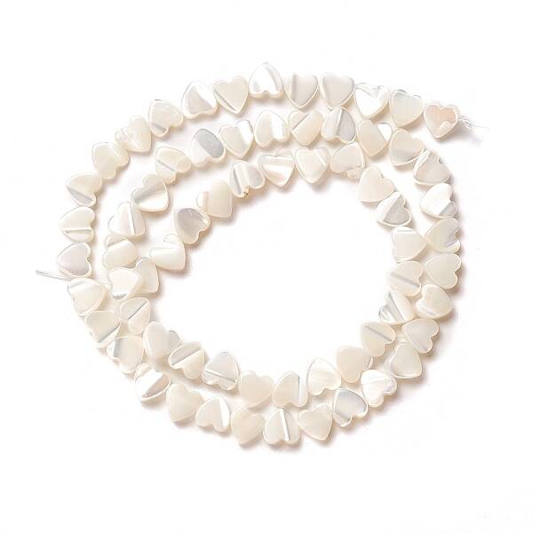 Natural Trochid Shell/Trochus Shell Beads