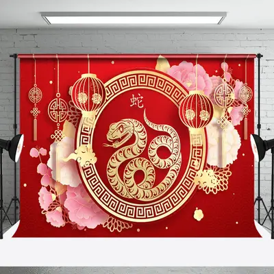 Aperturee Red Snake Chinese New Year Spring Festival Backdrop