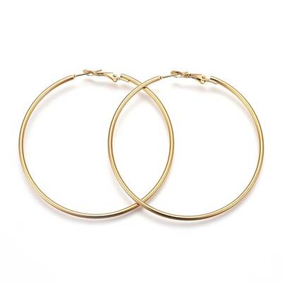 201 Stainless Steel Hoop Earrings