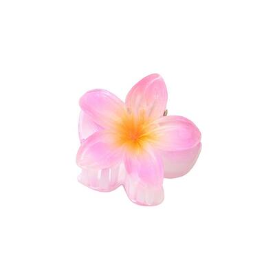 Plastic Claw Hair Clips