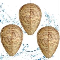 Honeycomb Shaped Hanging Wasp Trap, 3 Counts Reusable & Waterproof Honeycomb Shaped Hanging Wasp Trap, Mosquito Trap Suitable...