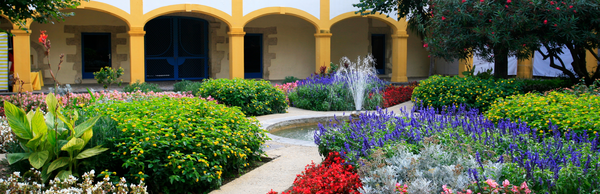 In the footsteps of Van Gogh: An Arles Tour with Context