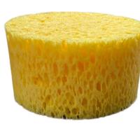 Large Round Sponge - Perfect for DIY Projects