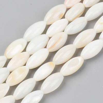 Natural Freshwater Shell Beads Strands