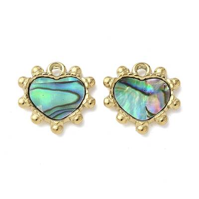 304 Stainless Steel Natural Paua Shell/White Shell Pendants
