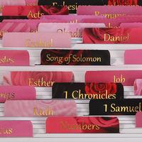 Laminated & Reposition Bible Tabs, Gold Foil Pink Rose, Large Print Christian Gift for Women, Easy to Read and Apply Bible Jo...