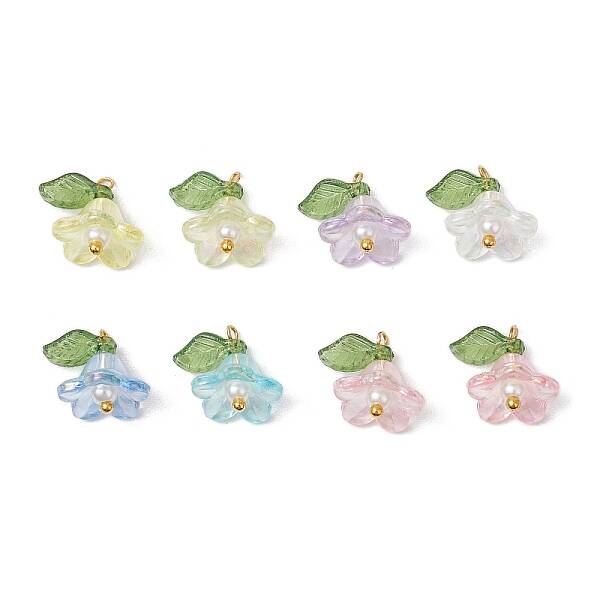 8Pcs Acrylic Charms