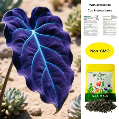 Rare Hosta Seeds-Hosta Flower Seeds For Perennial Shade Garden Ornamental Foliage for Landscaping Outdoor