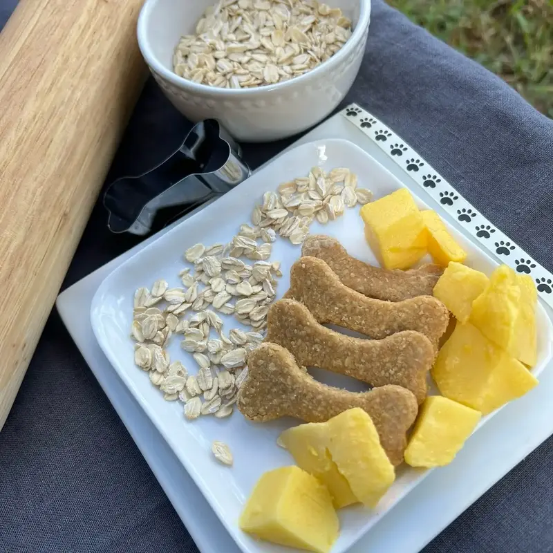 Mango Mania Homemade Dog Treats - Organic