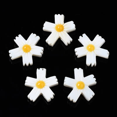 Natural Freshwater Shell Beads