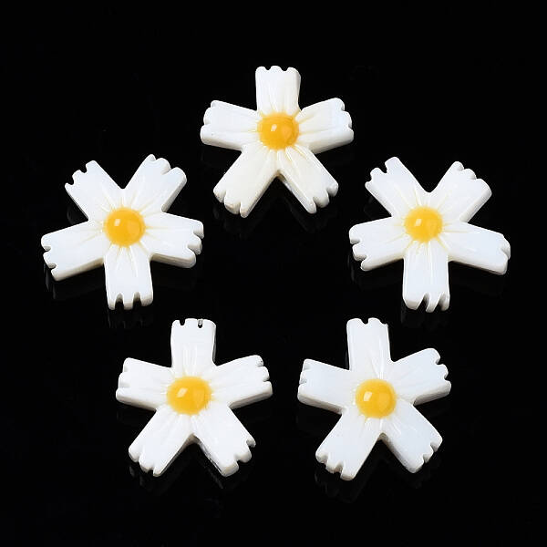 Natural Freshwater Shell Beads