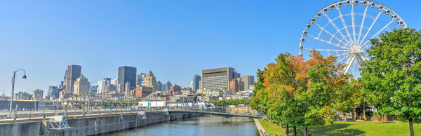 French Capital of the Americas: An Old Montréal Walking Tour