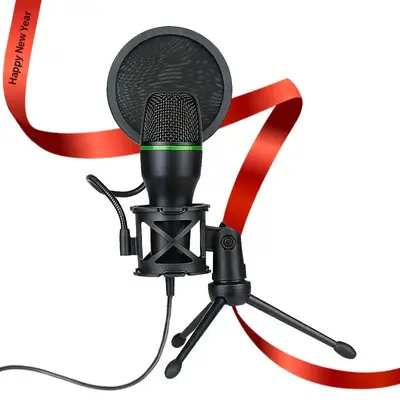 USB Powered Portable Microphone for Laptop, Summer Computer Gaming Mic with Tripod Stand, RGB Light & Filter, Mini Microphon...