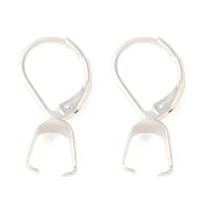 Ion Plating(IP)  304 Stainless Steel Leverback Earring Findings