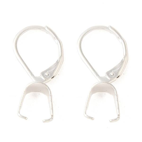 Ion Plating(IP)  304 Stainless Steel Leverback Earring Findings