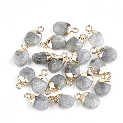 Electroplate Natural Labradorite Charms