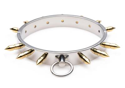 Stainless Steel Spiked Collar