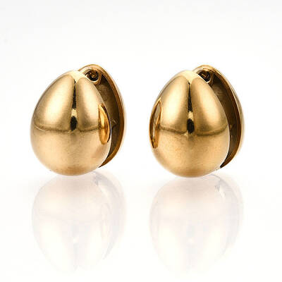Ion Plating(IP) 304 Stainless Steel Hoop Earrings