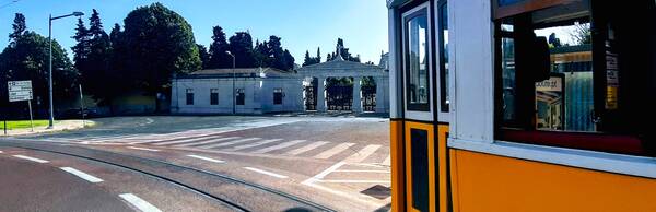 Tram 28’s Final Destination: Prazeres Cemetery