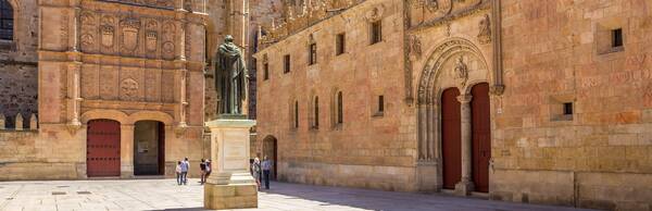 De gouden stad: Een tour vanaf de Plaza Mayor van Salamanca tot de kathedraal