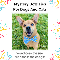 Mystery Dog And Cat Bow Ties - Slide On The Collar - Washable - PAWEsome For Your Pet