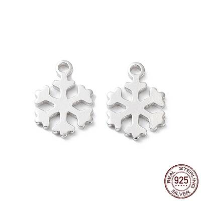 Rhodium Plated 925 Sterling Silver Charms