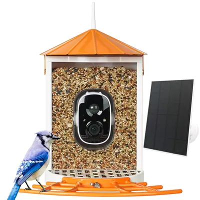 Birdkiss Smart Bird Feeder with Camera, Auto Capture Bird Videos, Motion Detection, Seed Guard, Ideal for Bird Lovers, Metal ...