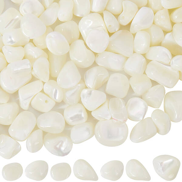 100Pcs Natural Trochid Shell/Trochus Shell Beads