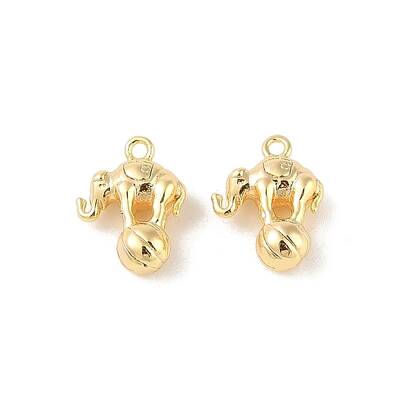 Brass Charms