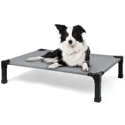 Cooling Elevated Dog Bed - Portable Raised Cot with Washable Mesh and Metal Frame Outdoor Pet Accessories
