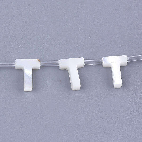 Natural Sea Shell Beads