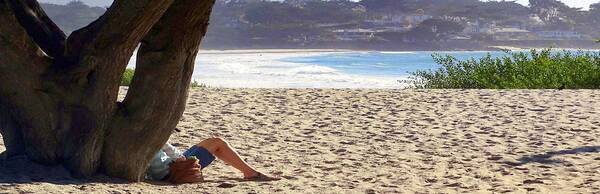 Carmel-by-the-Sea Driving Tour