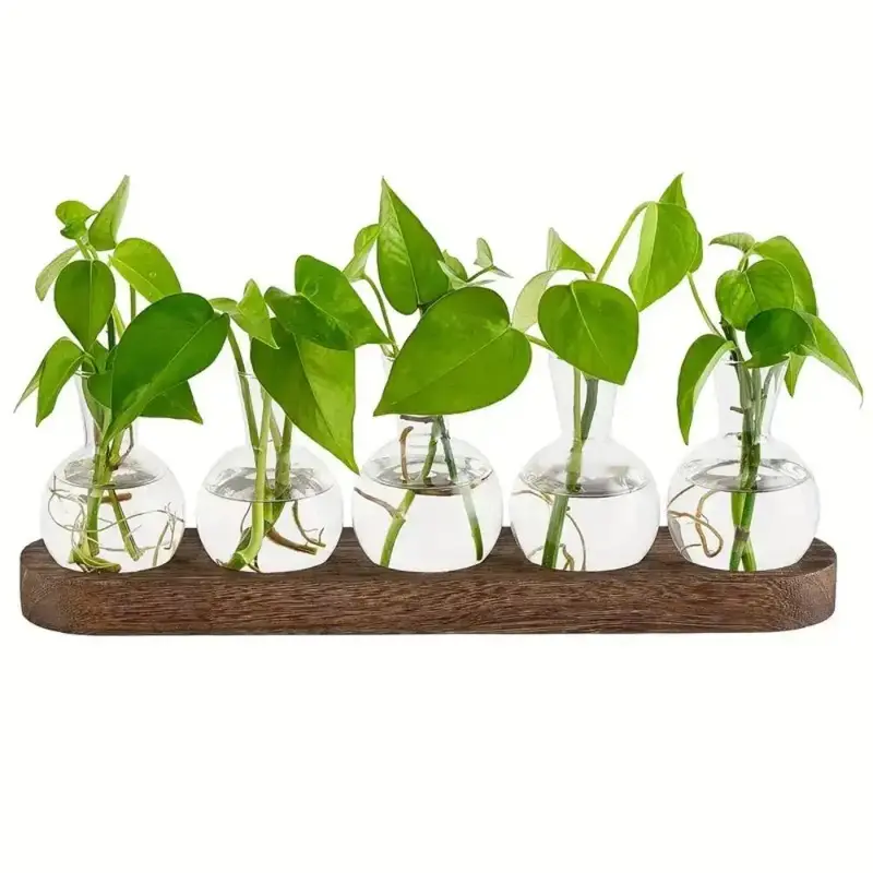 Transparent Glass Hydroponic Plant Pot without Plant, 1 Count 3/5 Glass Ball Vase with Wooden Tray, Ball Root Vase Container ...