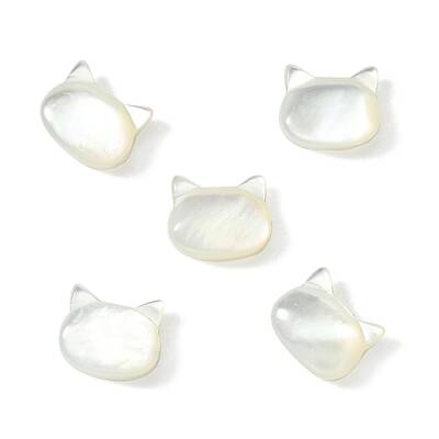 5Pcs Natural White Shell Beads