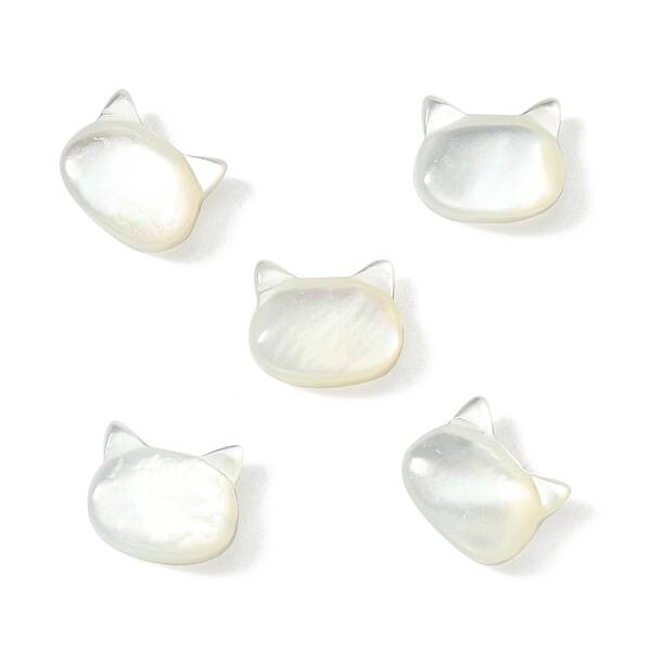 5Pcs Natural White Shell Beads