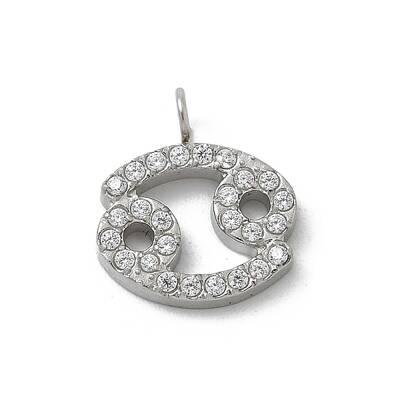304 Stainless Steel Micro Pave Cubic Zirconia Charms