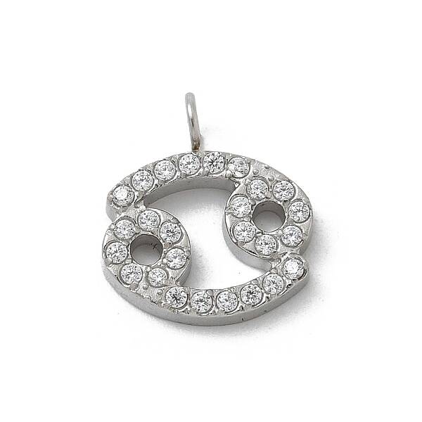 304 Stainless Steel Micro Pave Cubic Zirconia Charms