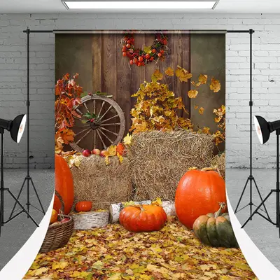 Straw Pumpkin Leaves Autumn Photo Sweep Backdrop - Aperturee